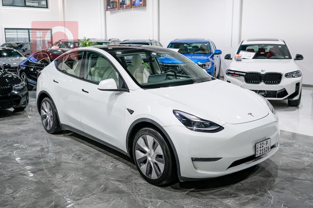 تێسلا مۆدێلی Y